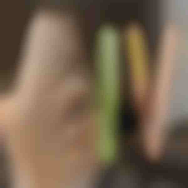 TWISTLINE plaukų tiesintuvas ir garbanojimo prietaisas