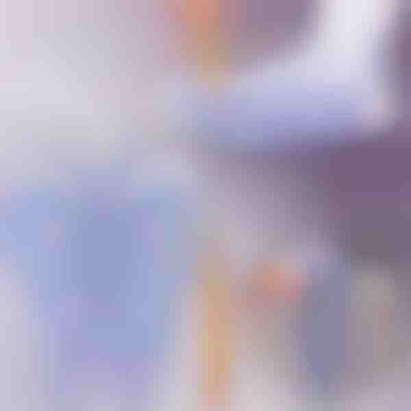 Aktyvuokite sveikatos taškus – refleksologinės kojinės kasdieniam masažui | FEETRA